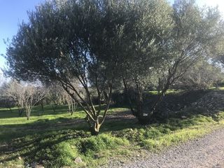 Οικόπεδο 673 τ.μ. για πώληση, Ν. Χίου, Χίος-thumb-4