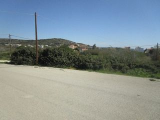 Οικόπεδο 1.302 τ.μ. για πώληση, Ν. Χίου, Χίος-thumb-2