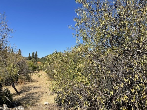 Οικόπεδο 1.328 τ.μ. πρός πώληση, Ν. Χίου, Χίος
