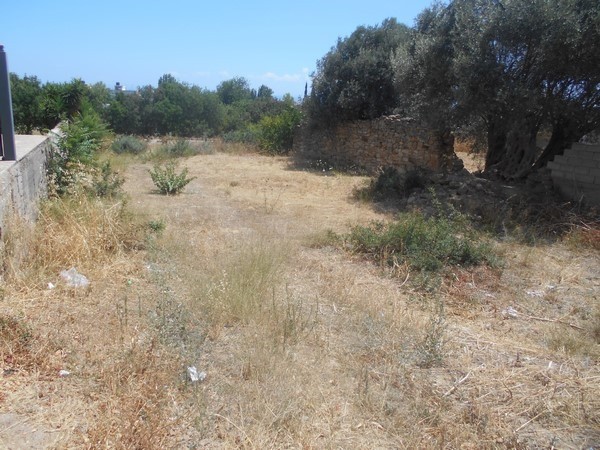 Οικόπεδο 895 τ.μ. προς πώληση, Πόλη Χίου