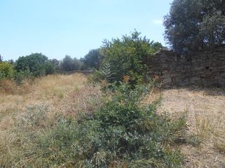Οικόπεδο 895 τ.μ. πρός πώληση, Ν. Χίου, Χίος-thumb-3