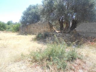 Οικόπεδο 895 τ.μ. πρός πώληση, Ν. Χίου, Χίος-thumb-2