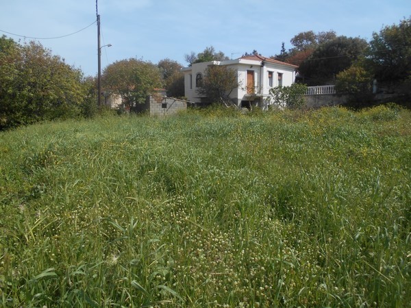 Οικόπεδο 354 τ.μ. πρός πώληση, Ν. Χίου, Χίος