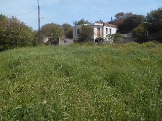 Οικόπεδο 354 τ.μ. για πώληση, Ν. Χίου, Χίος-thumb-4