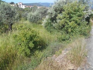 Οικόπεδο 611 τ.μ. για πώληση, Ν. Χίου, Χίος-thumb-3