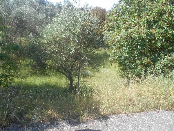 Οικόπεδο 611 τ.μ. πρός πώληση, Ν. Χίου, Χίος