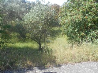 Οικόπεδο 611 τ.μ. για πώληση, Ν. Χίου, Χίος-thumb-1