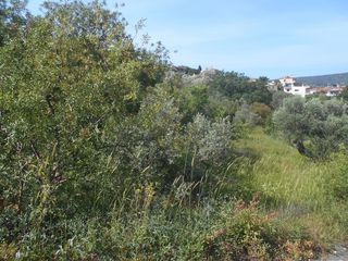 Οικόπεδο 611 τ.μ. για πώληση, Ν. Χίου, Χίος-thumb-2