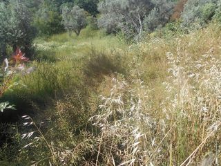 Οικόπεδο 611 τ.μ. για πώληση, Ν. Χίου, Χίος-thumb-5