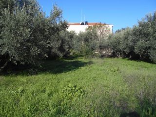 Οικόπεδο 696,63 τ.μ. για πώληση, Ν. Χίου, Χίος-thumb-4