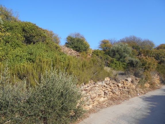 Οικόπεδο 2.172,39 τ.μ. για πώληση, Ν. Χίου, Χίος