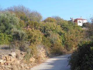 Οικόπεδο 2.172,39 τ.μ. για πώληση, Ν. Χίου, Χίος-thumb-1