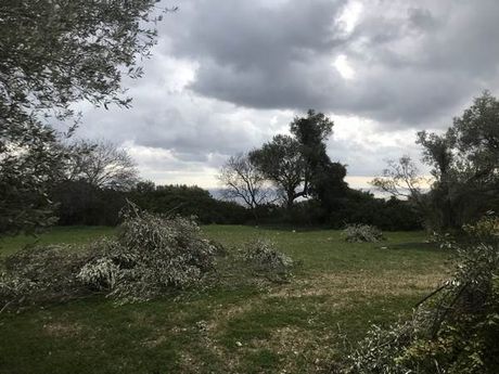 Οικόπεδο 904,91 τ.μ. για πώληση