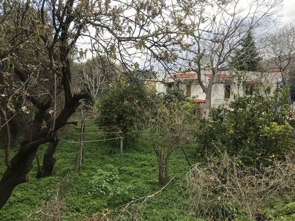 Οικόπεδο 602,62 τ.μ. προς πώληση, Καρδάμυλα