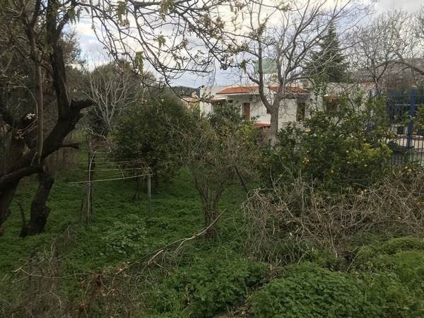 Οικόπεδο 602,62 τ.μ. προς πώληση, Καρδάμυλα