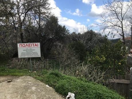 Land plot 602,62 sqm for sale