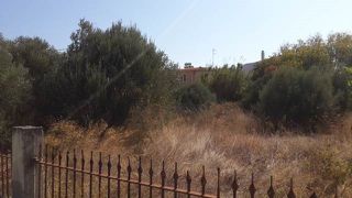 Οικόπεδο 1.600 τ.μ. για πώληση, Ν. Χίου, Χίος-thumb-2