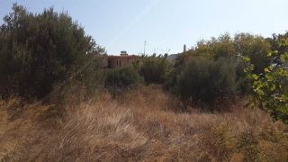 Οικόπεδο 1.600 τ.μ. για πώληση, Ν. Χίου, Χίος-thumb-1