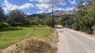 Οικόπεδο 2.778 τ.μ. για πώληση, Ν. Χίου, Χίος-thumb-4