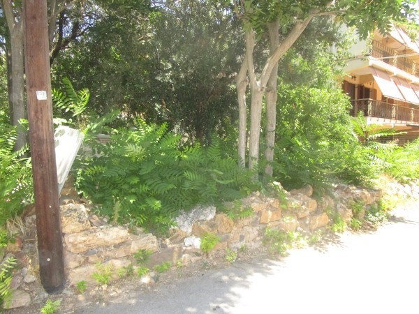 Οικόπεδο 416,94 τ.μ. πρός πώληση, Ν. Χίου, Χίος