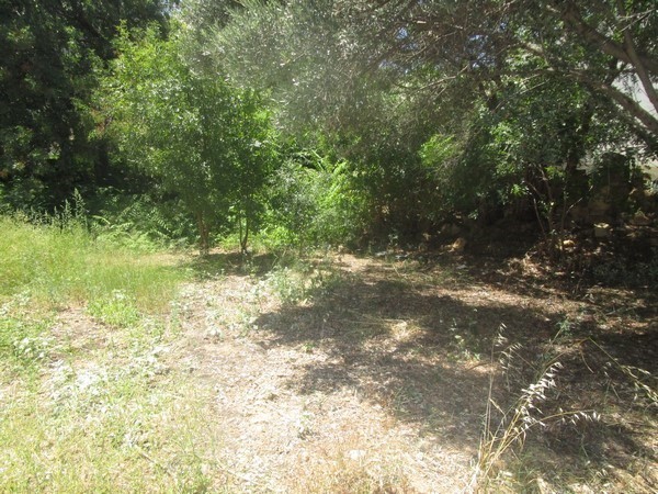 Οικόπεδο 416,94 τ.μ. πρός πώληση, Ν. Χίου, Χίος