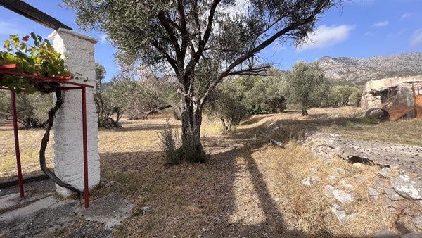 Οικόπεδο 1.279,94 τ.μ. για πώληση, Ν. Χίου, Χίος