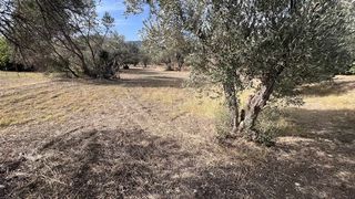 Οικόπεδο 1.279,94 τ.μ. για πώληση, Ν. Χίου, Χίος-thumb-1