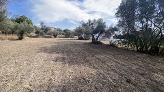 Οικόπεδο 1.279,94 τ.μ. για πώληση, Ν. Χίου, Χίος-thumb-8