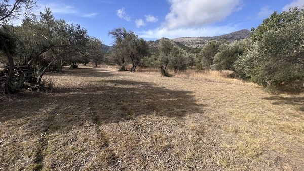 Οικόπεδο 1.279,94 τ.μ. προς πώληση, Καμποχώρια