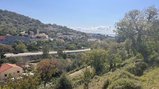 Οικόπεδο 4.510 τ.μ. για πώληση, Ν. Χίου, Χίος-thumb-6
