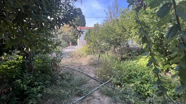 Οικόπεδο 2.825,29 τ.μ. προς πώληση, Πόλη Χίου