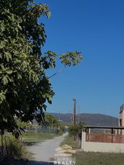 Μεζονέτα 182 τ.μ. για πώληση, Εύβοια, Αιδηψός-thumb-18
