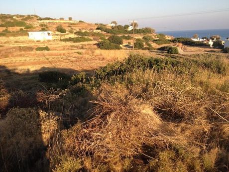 Αγροτεμάχια 790,79τ.μ. για πώληση-Χίος