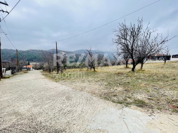 Οικόπεδο 1.600 τ.μ. για πώληση, Ν. Ροδόπης, Κομοτηνή