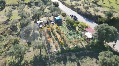 Αγροτεμάχια 563 τ.μ. για πώληση