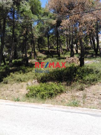 Land plot 1.532 sqm for sale, Athens - North, Dionisos