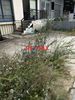 Business bulding 190sqm for sale-Metamorfosi