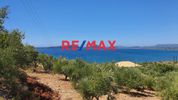 Land plot 6.200sqm for sale-Pilos