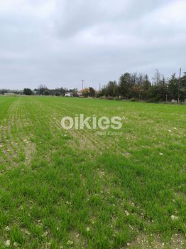 Parcel 9.460sqm for sale-Kallikrateia