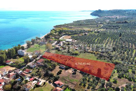 Αγροτεμάχια 6.750,45 τ.μ. για πώληση