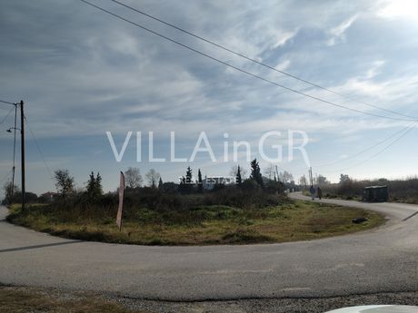 Αγροτεμάχια 5.000τ.μ. για πώληση-Επανομή » Λεύκες
