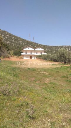 Οικόπεδο 6.000 τ.μ. για πώληση, Αθήνα - Ανατολικά Προάστια, Κορωπί