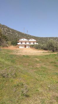 Μονοκατοικία 300 τ.μ. για πώληση