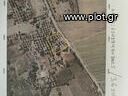 Parcel 3.600 sqm for sale, Ilia, Amaliada