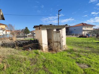 Αποθήκη 300 τ.μ. για πώληση, Ν. Σερρών, Τράγιλος-thumb-11