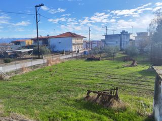 Αποθήκη 300 τ.μ. για πώληση, Ν. Σερρών, Τράγιλος-thumb-22
