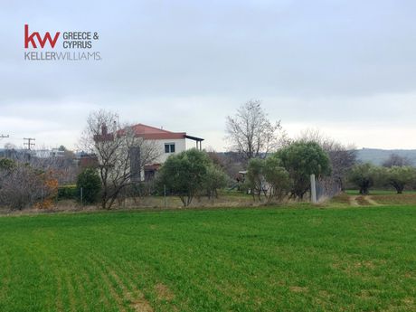 Αγροτεμάχια 9.000τ.μ. για πώληση-Μίκρα
