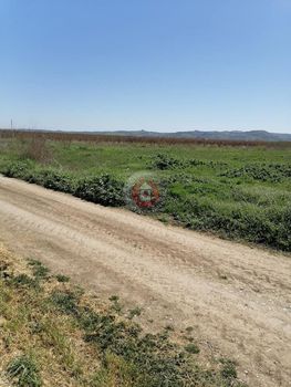 Αγροτεμάχια 17.000 τ.μ. για πώληση