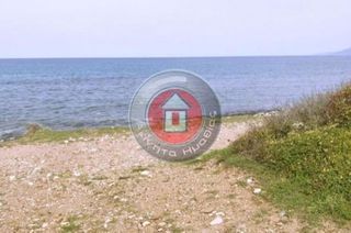 Οικόπεδο 45.000 τ.μ. για πώληση