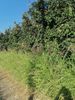 Parcel 6.000sqm for sale-Dovra » Patrida